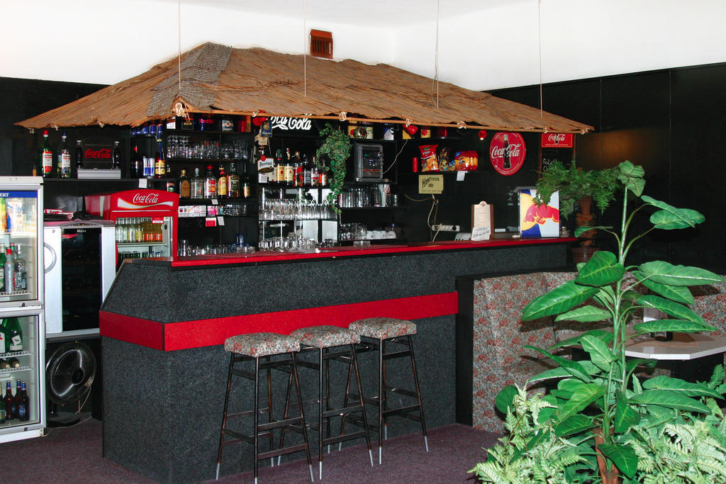 Hotel Fogl Nová Bystřice Екстериор снимка